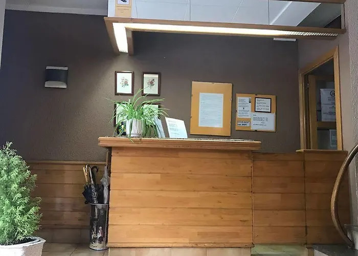 Estacio 普奇塞达